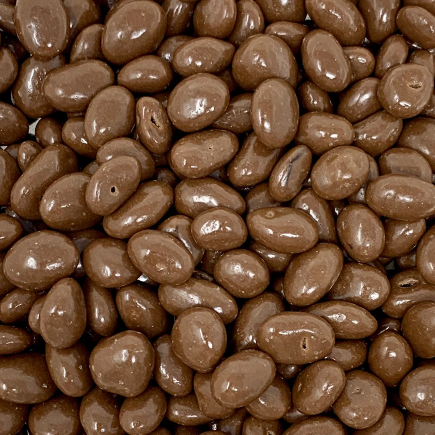 Chocolate Raisins